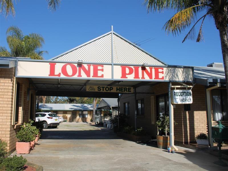Lone Pine Motel Corowa Buitenkant foto