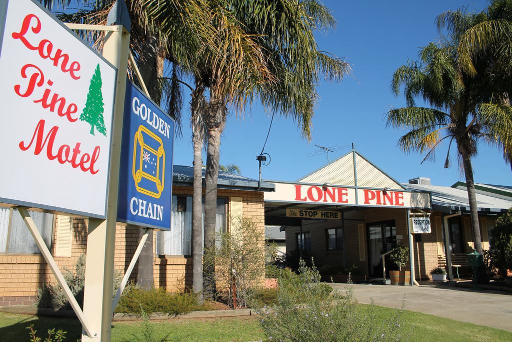 Lone Pine Motel Corowa Buitenkant foto