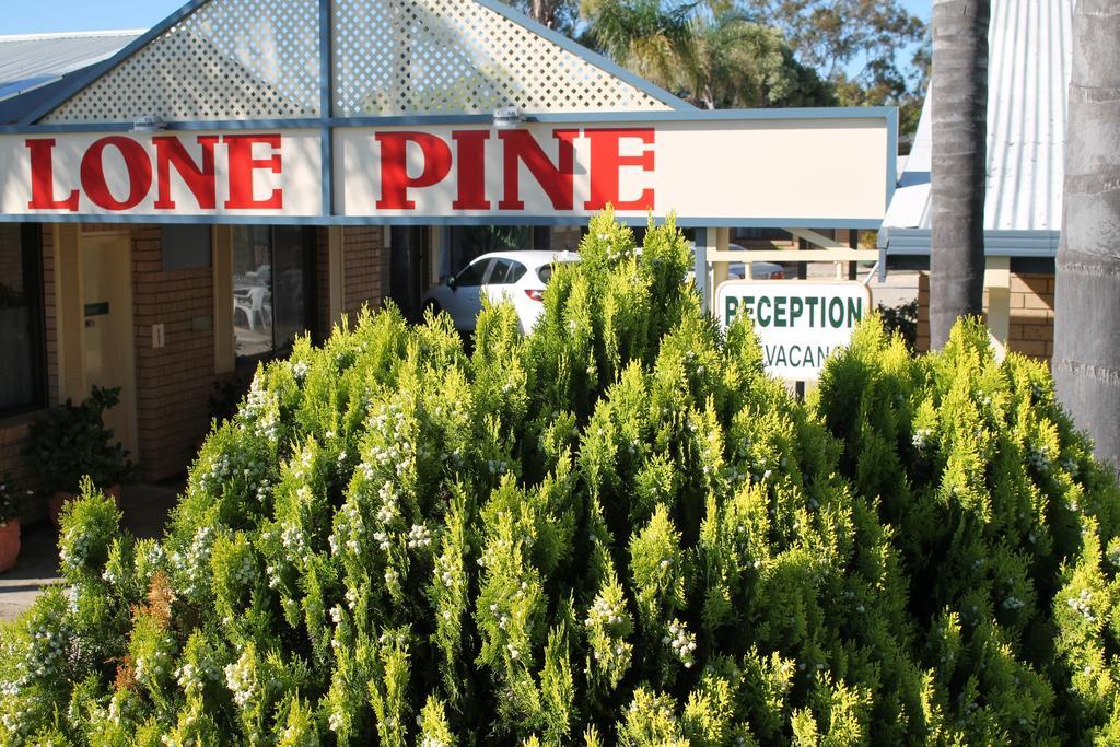 Lone Pine Motel Corowa Buitenkant foto